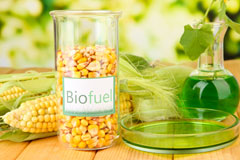 Llandruidion biofuel availability