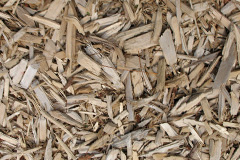 biomass boilers Llandruidion