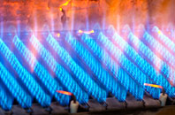 Llandruidion gas fired boilers